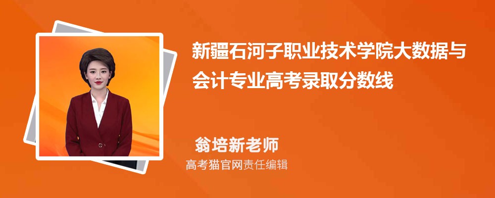 新疆石河子职业技术学院大数据与会计专业高考录取分数线是多少?附历年最